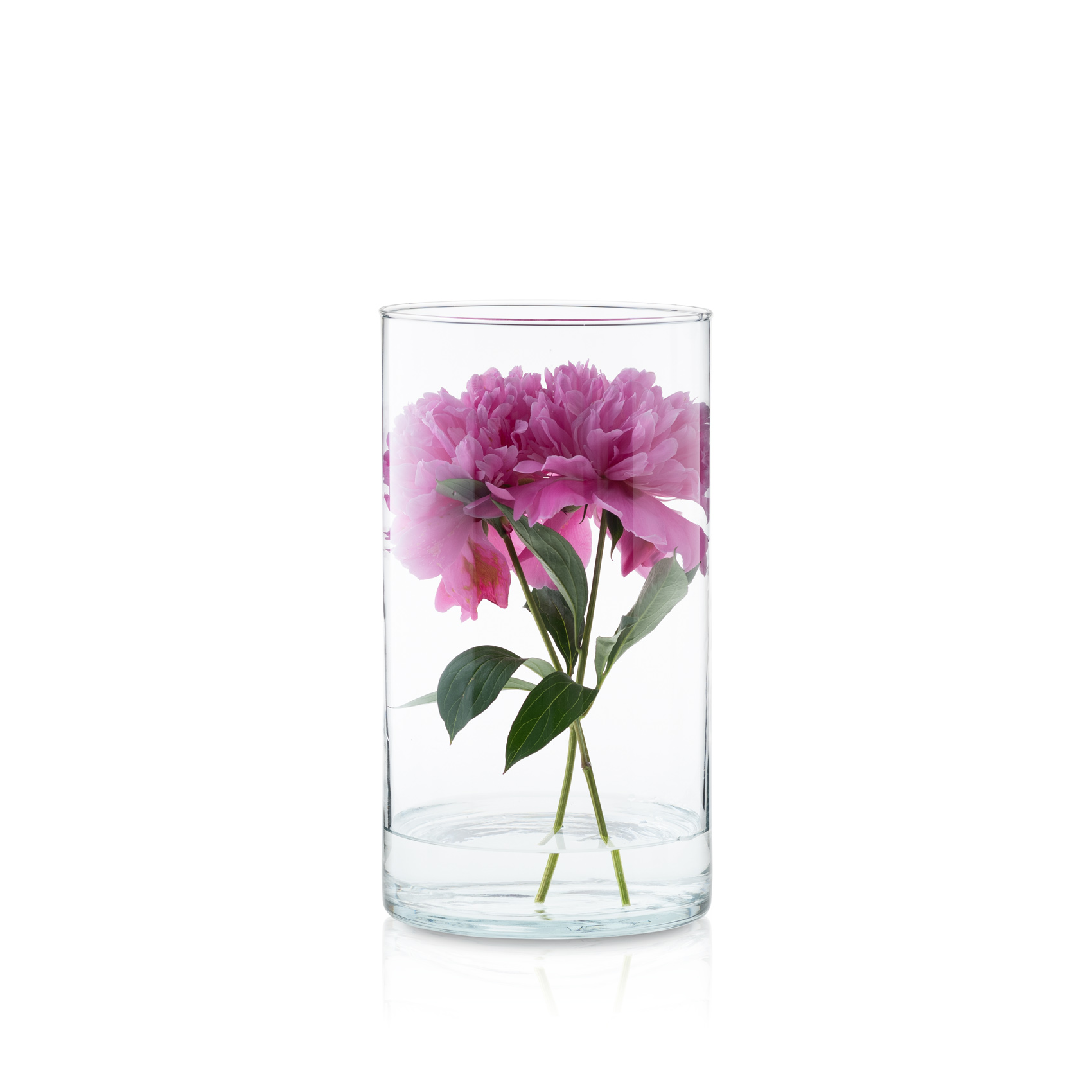 Wazon szklany cylinder pojemnik tuba las w słoju 30 cm kpl. 6 szt.