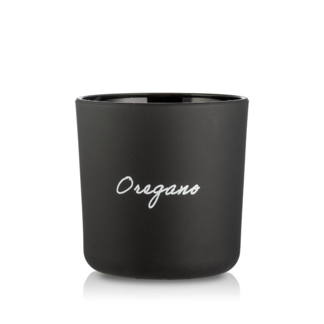Doniczka szklana osłonka czarna na zioła Oregano 13 cm