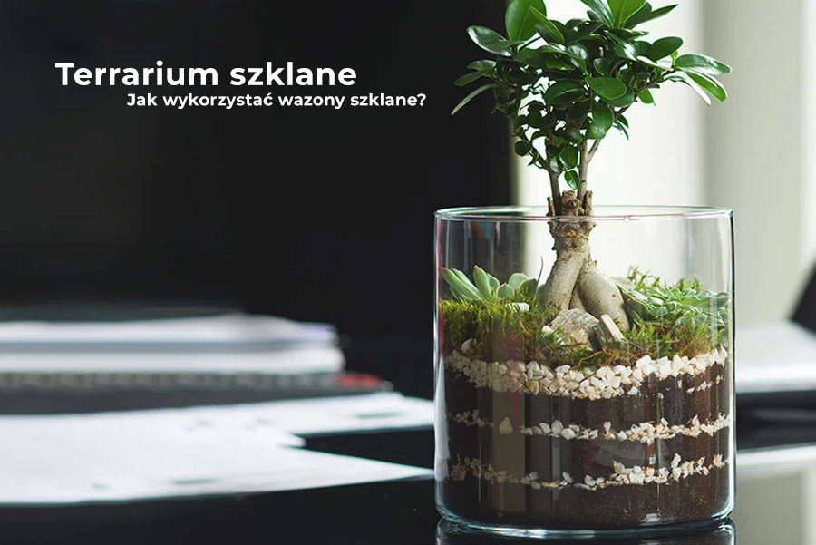 Terrarium szklane